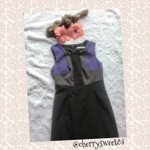 Andrew Marc NY Color Block Dress